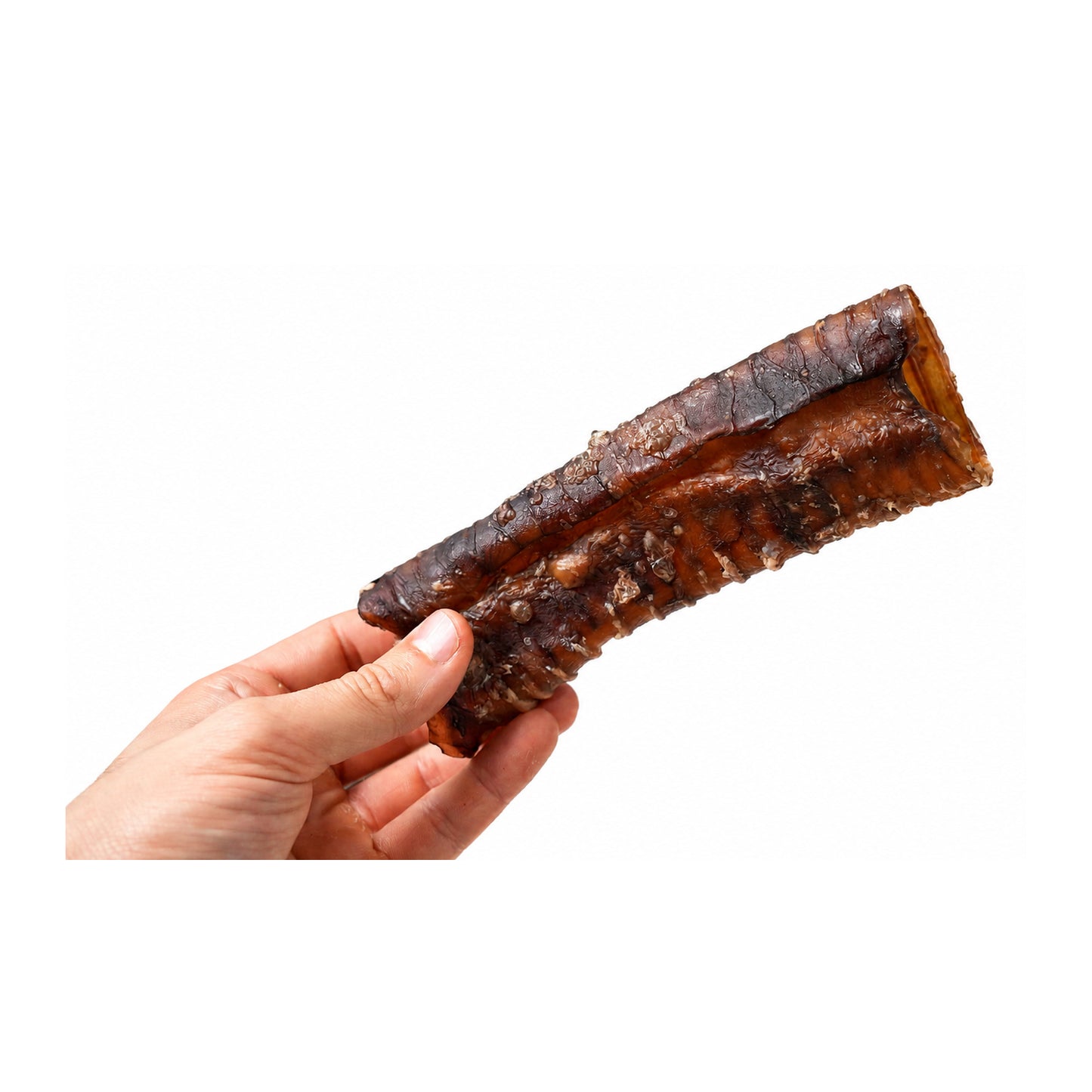 Beef Trachea