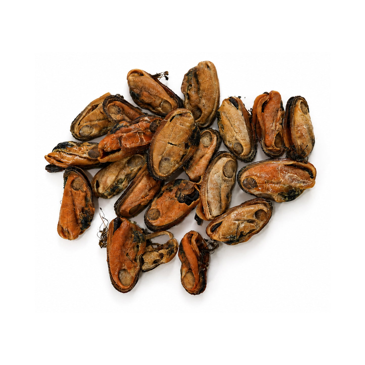 Green Lipped Mussel