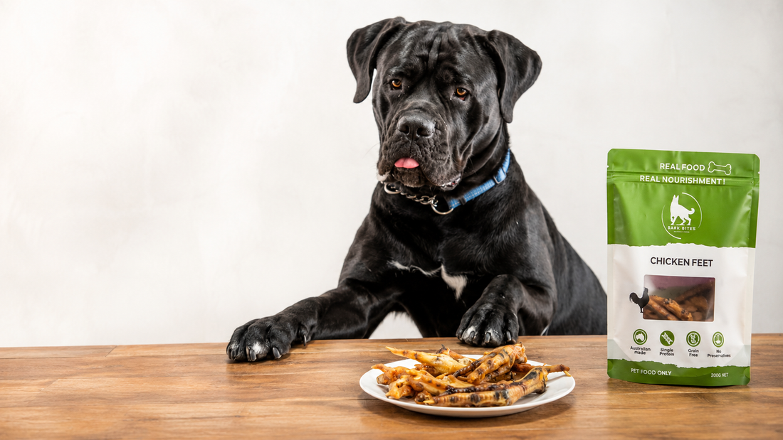 Are Chicken Feet Good for Dogs? Benefits, Safety & Feeding Guide