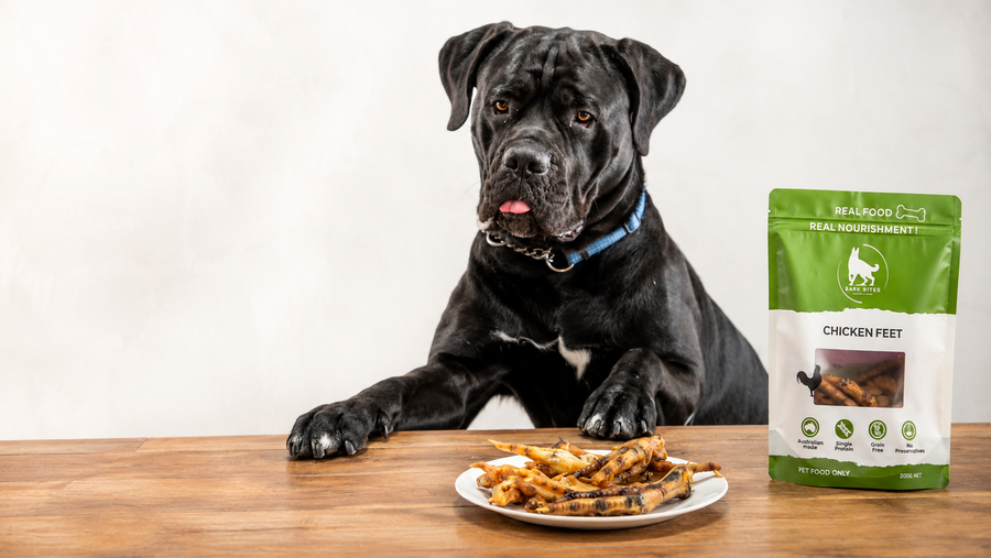 Are Chicken Feet Good for Dogs? Benefits, Safety & Feeding Guide
