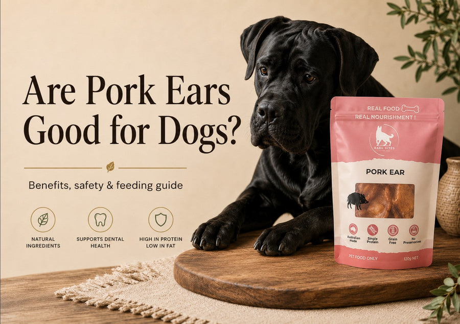 Are Pork Ears Good for Dogs?