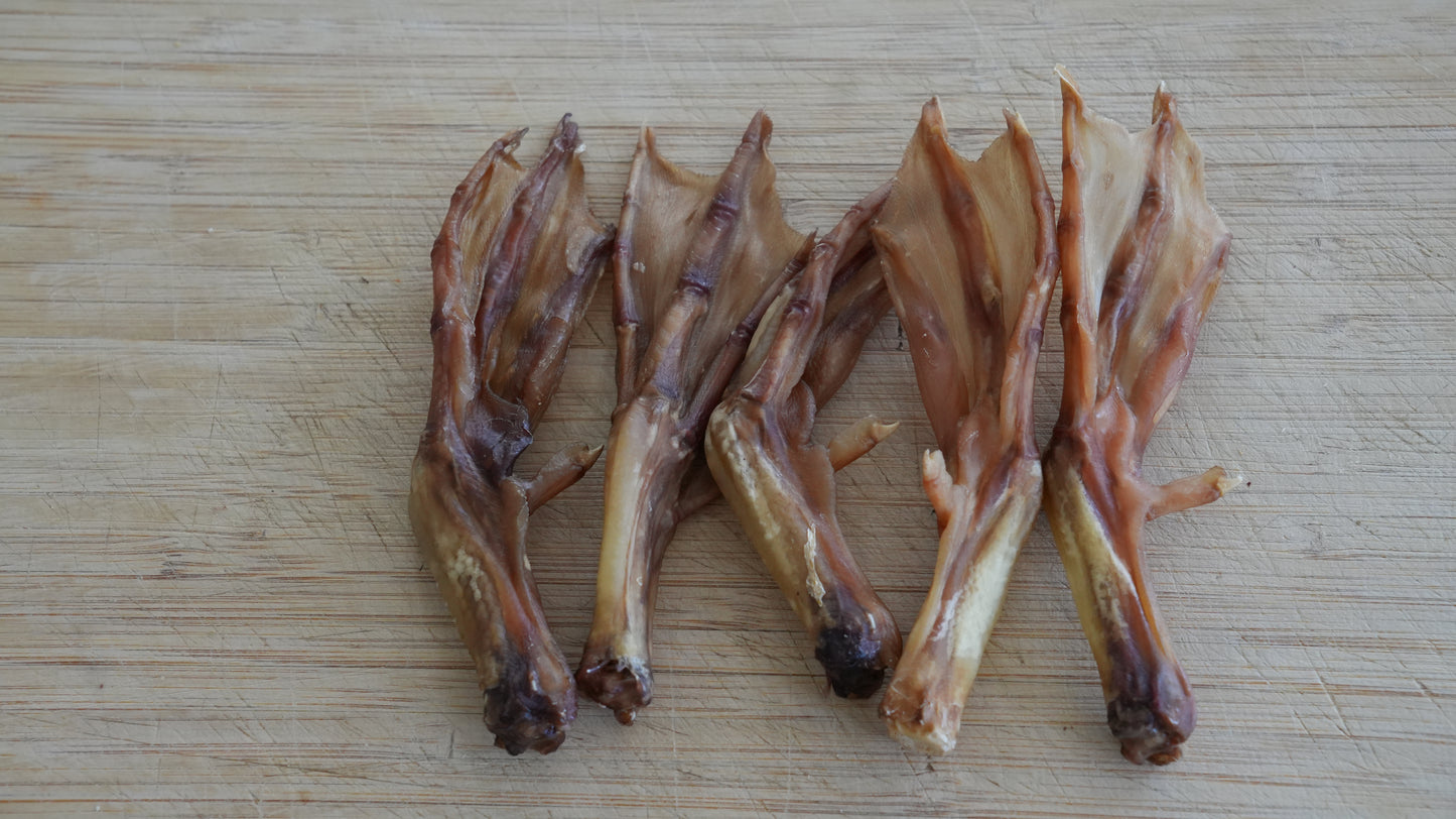 Duck Feet