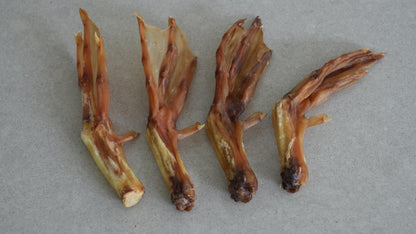 Duck Feet
