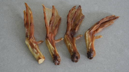Duck Feet