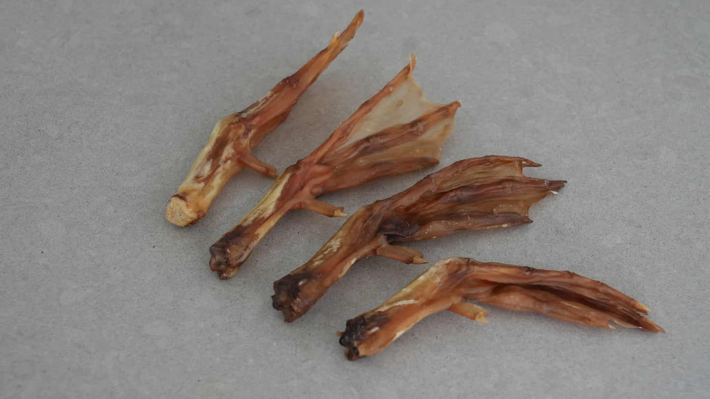 Duck Feet