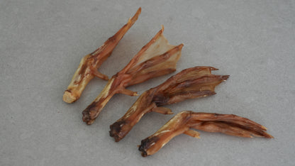 Duck Feet
