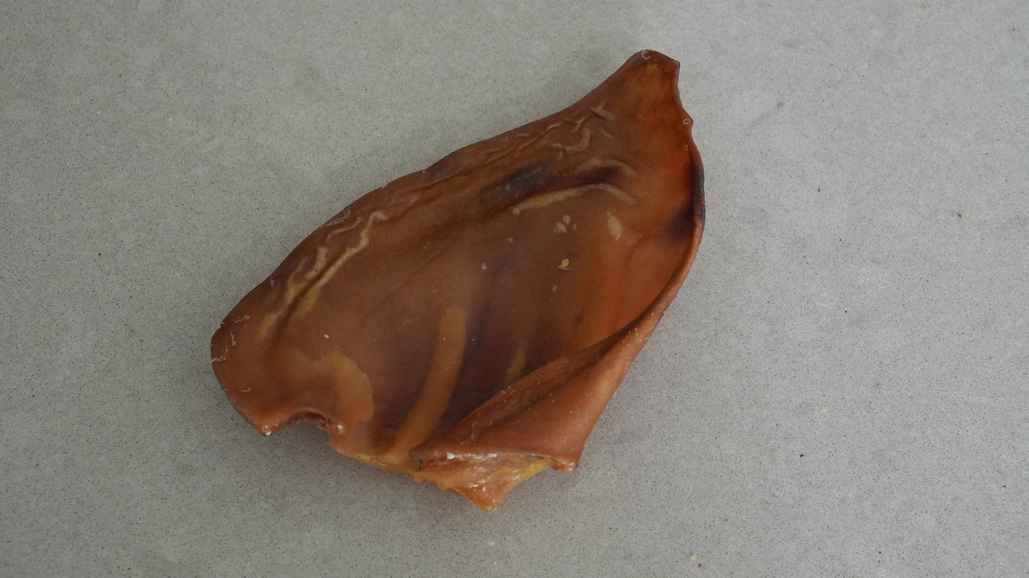 Pork Ear