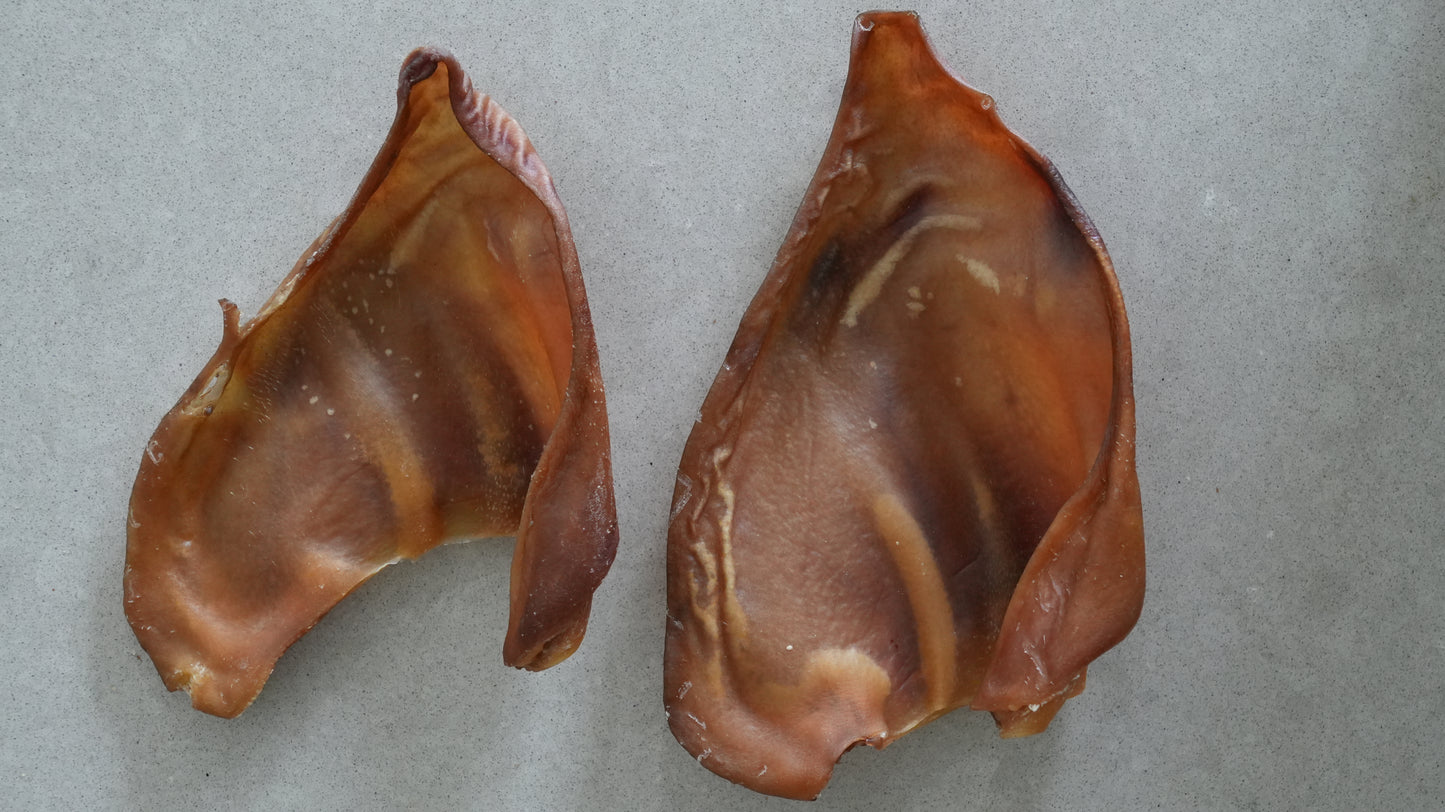 Pork Ear