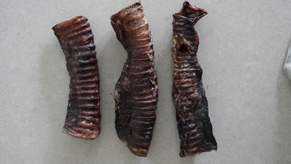 Beef Trachea