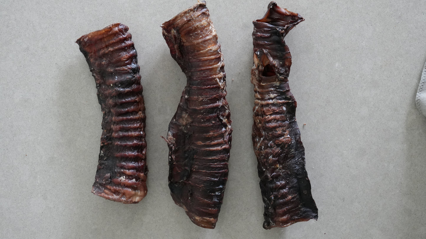 Beef Trachea