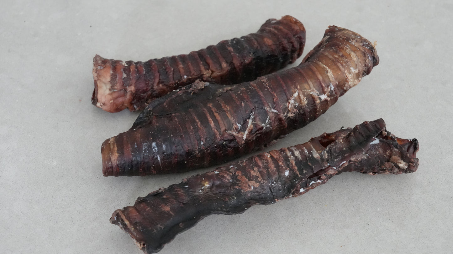 Beef Trachea