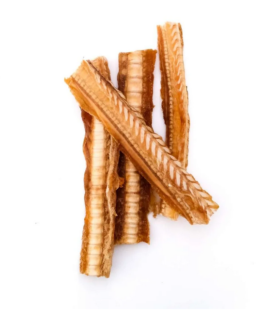 Jumbo Shark Cartillage