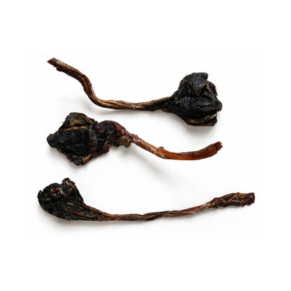 Kangaroo Tendon
