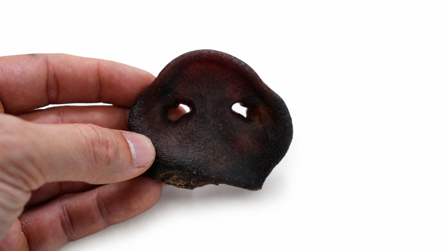 Air-Dried Pork Snouts