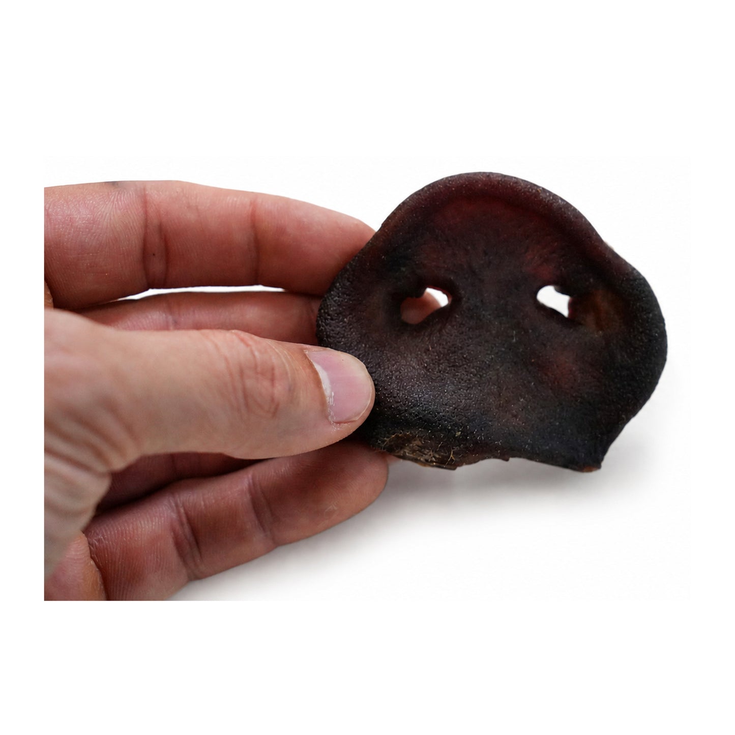 Air-Dried Pork Snouts