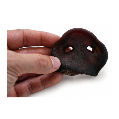 Air-Dried Pork Snouts