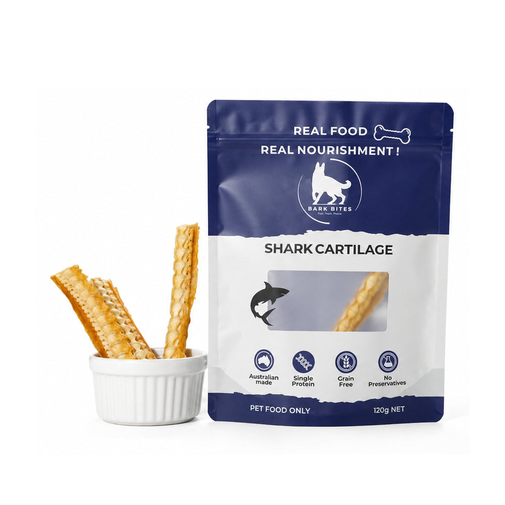 Jumbo Shark Cartilage