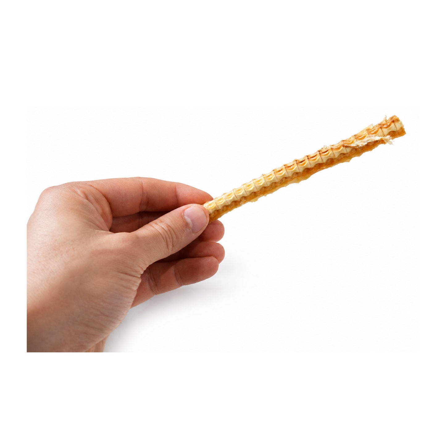 Thin Air-Dried Shark Cartilage