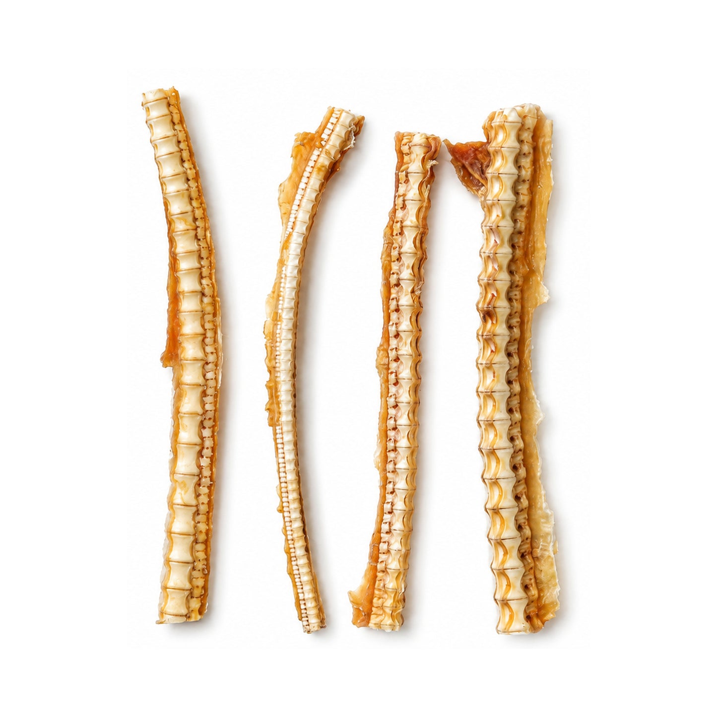 Thin Air-Dried Shark Cartilage