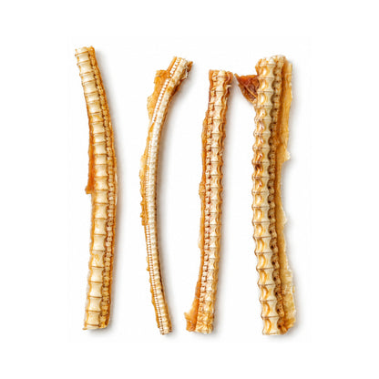 Thin Air-Dried Shark Cartilage